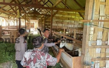Img 20260808 Wa0105