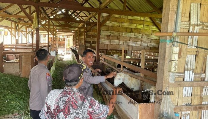 Polsek Manyar Cek Peternakan Kambing di Desa Peganden, Dukung Program Ketahanan Pangan