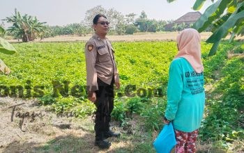 Polres Gresik Perkuat Ketahanan Pangan, Cek Tanaman Kangkung di Benjeng
