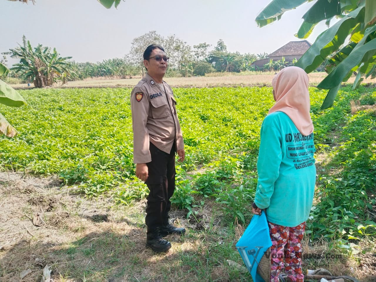 Img 20260812 Wa0062