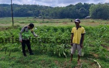 Polsek Sangkapura Cek Tanaman Terong Hijau, Perkuat Dukungan terhadap Ketahanan Pangan di Gresik