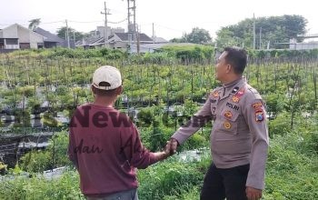 Polsek Menganti Cek Tanaman Lombok di Desa Bringkang, Dukung Ketahanan Pangan Nasional