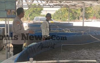 Polres Gresik Perkuat Ketahanan Pangan Lewat Budidaya Ikan Lele di Sidayu