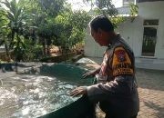 Img 20260826 Wa0014