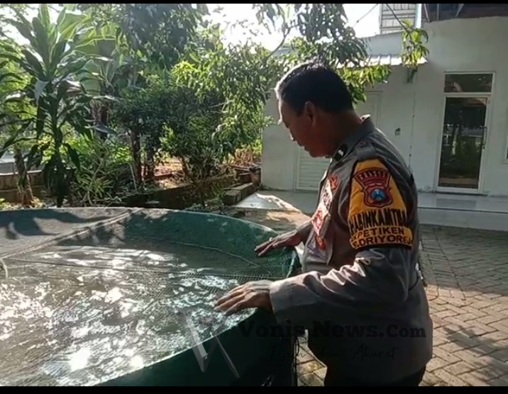 Img 20260826 Wa0014