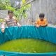 Polsek Driyorejo Cek Budidaya Lele di Desa Banjaran, Dorong Ketahanan Pangan dan Swasembada Nasional