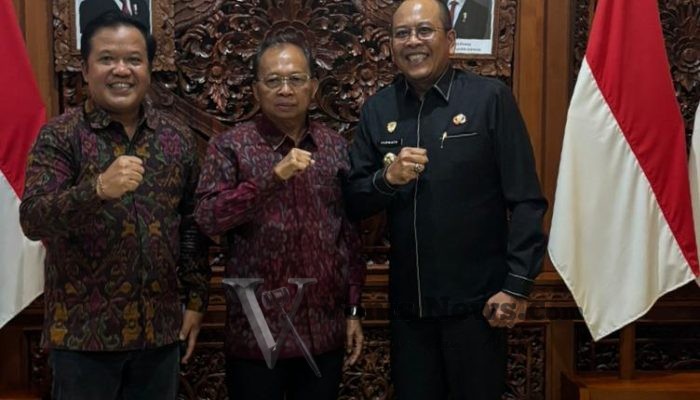 PLTS 1 MW Bangli dan Karangasem Segera Dioperasikan, Gubernur Koster Libatkan PLN Bali