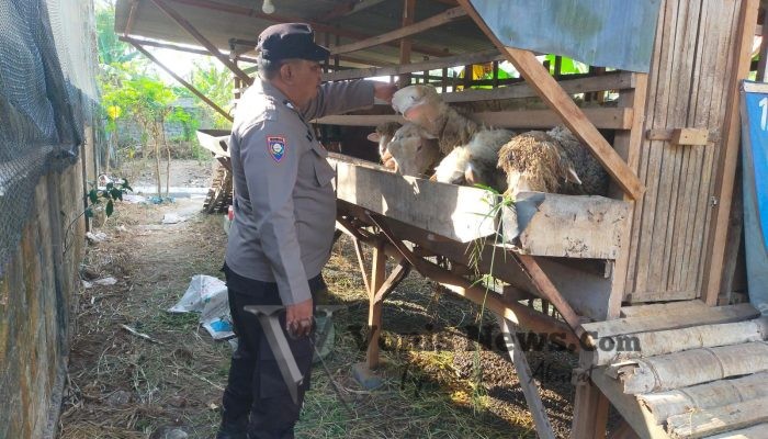 Polsek Dukun Monitoring Ternak Kambing di Desa Mentaras, Perkuat Ketahanan Pangan Masyarakat