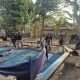 Sabung Ayam Dibabat! Polres Nganjuk Sikat Dua Lokasi, Empat Ayam Diamankan