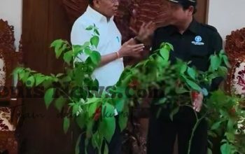 Tumpek Uye, Gubernur Koster Perkuat Pelestarian Sad Kerthi Loka Bali dan Kedaulatan Pangan
