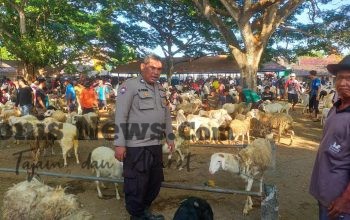 Polsek Dukun Cek Pasar Kambing Kencana, Dukung Ketahanan Pangan di Kabupaten Gresik