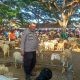 Polsek Dukun Cek Pasar Kambing Kencana, Dukung Ketahanan Pangan di Kabupaten Gresik
