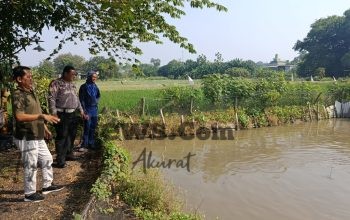 Polsek Driyorejo Cek Budidaya Ikan Nila, Dukung Ketahanan Pangan di Gresik