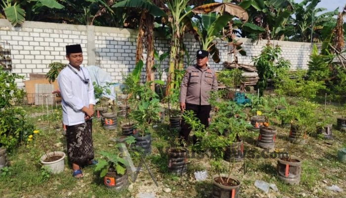 Polsek Bungah Cek Tanaman Lombok di Desa Masangan, Dukung Ketahanan Pangan