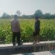 Img 20260919 Wa0130