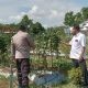 Polsek Cerme Cek Tanaman Kacang Panjang di Desa Lengkong, Dukung Ketahanan Pangan