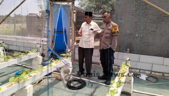 Polsek Manyar Cek Budidaya Melon di Desa Suci, Dukung Ketahanan Pangan Nasional