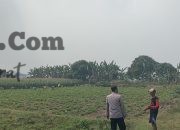 Img 20260925 Wa0211