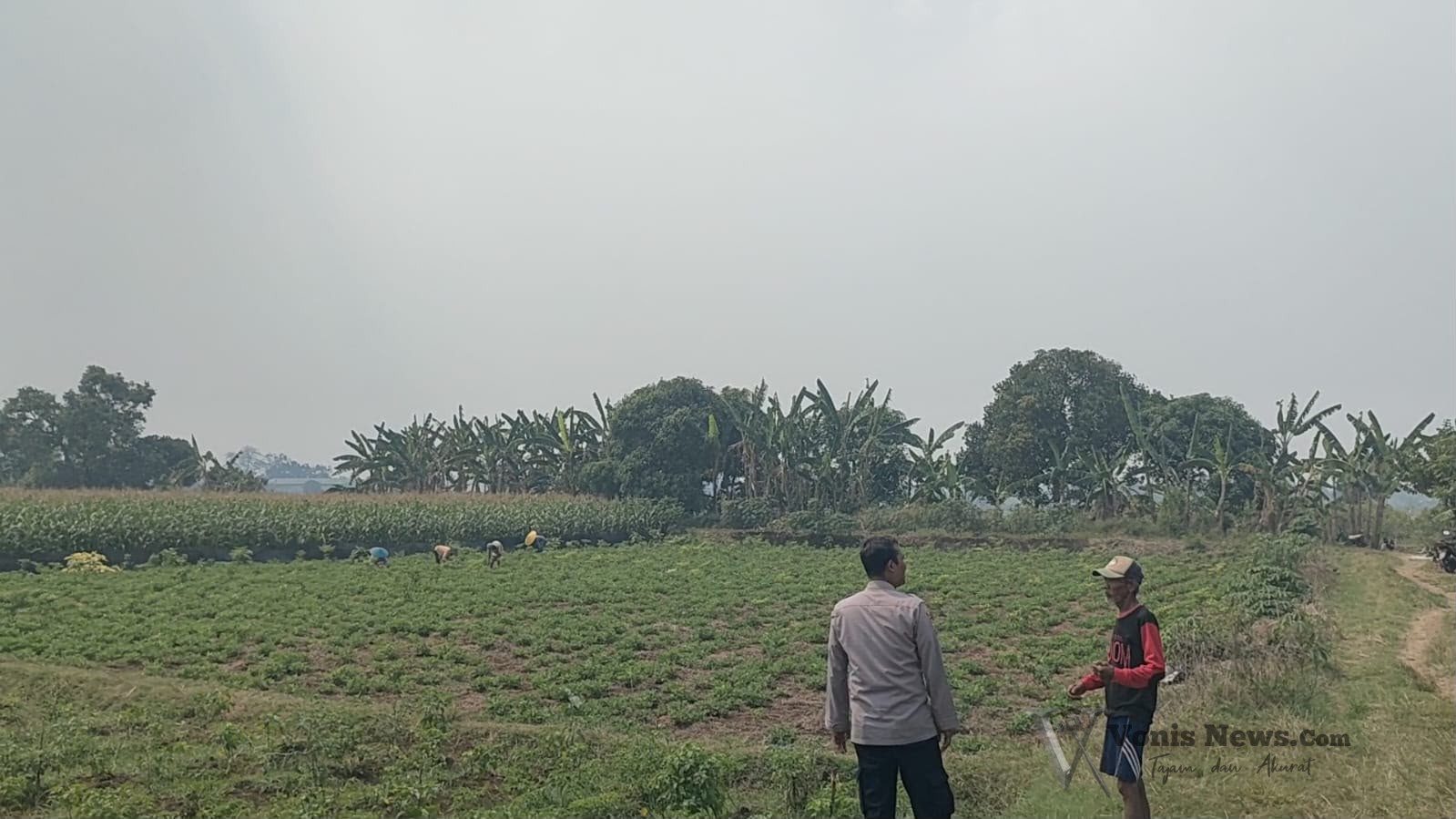 Img 20260925 Wa0211