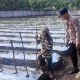 Polsek Menganti Cek Tanaman Lombok di Desa Bringkang, Perkuat Ketahanan Pangan