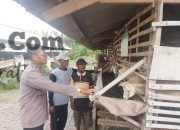 Polsek Kebomas Cek Peternakan Kambing di Kembangan, Perkuat Ketahanan Pangan Gresik