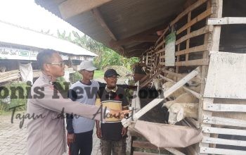 Polsek Kebomas Cek Peternakan Kambing di Kembangan, Perkuat Ketahanan Pangan Gresik