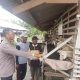 Polsek Kebomas Cek Peternakan Kambing di Kembangan, Perkuat Ketahanan Pangan Gresik