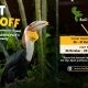 Rayakan HUT ke-31, Bali Bird Park Tebar Diskon Tiket 31 Persen hingga 30 November 2026