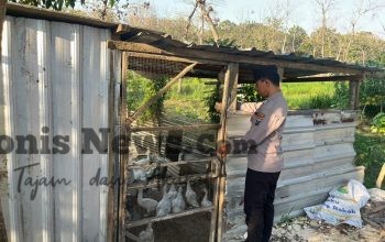 Polsek Panceng Cek Kandang Bebek Mentok di Desa Prupuh, Dukung Program Ketahanan Pangan
