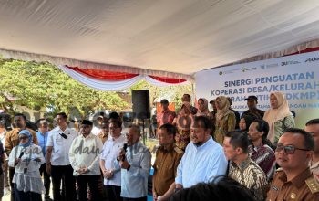 Img 20261013 Wa0169