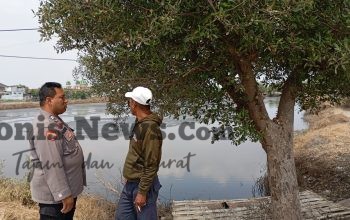 Polsek Duduksampeyan Cek Tambak Ikan di Desa Kemudi, Dukung Ketahanan Pangan Nasional