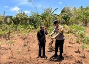 Dukung Ketahanan Pangan, Polsek Tambak Cek Tanaman Ubi Kayu di Desa Tanjungori