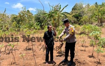 Dukung Ketahanan Pangan, Polsek Tambak Cek Tanaman Ubi Kayu di Desa Tanjungori