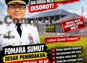 FOMARA Sumut Desak Bupati Deli Serdang Periksa Bangunan Kafe yang Diduga Berdiri di Lahan Sawah Produktif