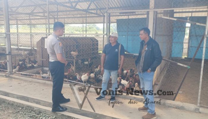 Polsek Kedamean Cek Peternakan Ayam di Sidoraharjo, Dukung Ketahanan Pangan Gresik
