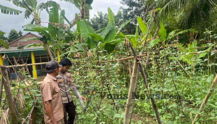 Polres Gresik Perkuat Ketahanan Pangan, Pantau Budidaya Kacang Panjang di Desa Lebak
