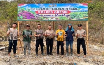 Img 20261026 Wa0171