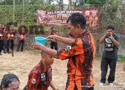 Img 20261026 Wa0297