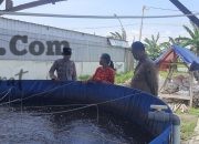 Polsek Kebomas Cek Kolam Ikan di Prambangan, Perkuat Ketahanan Pangan Nasional