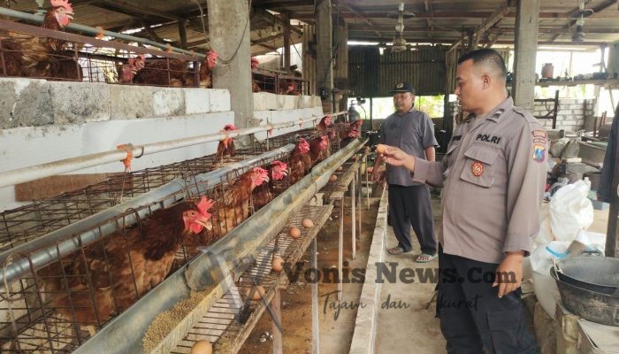 Polres Gresik Cek Peternakan Ayam Petelur, Perkuat Ketahanan Pangan Nasional