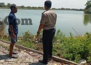 Polsek Duduksampeyan Pantau Tambak Ikan di Kawistowindu, Perkuat Ketahanan Pangan Nasional