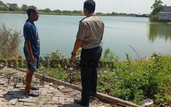 Polsek Duduksampeyan Pantau Tambak Ikan di Kawistowindu, Perkuat Ketahanan Pangan Nasional