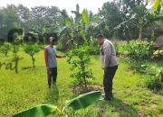 Polres Gresik Pantau Tanaman Jeruk di Desa Petiyintunggal, Dukung Ketahanan Pangan Nasional