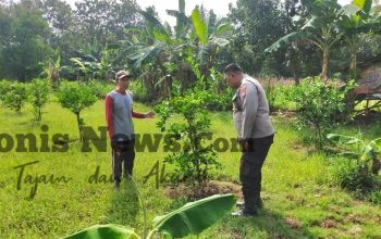 Polres Gresik Pantau Tanaman Jeruk di Desa Petiyintunggal, Dukung Ketahanan Pangan Nasional